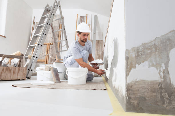 Best HVAC Mold Inspection and Cleaning  in Cottleville, MO