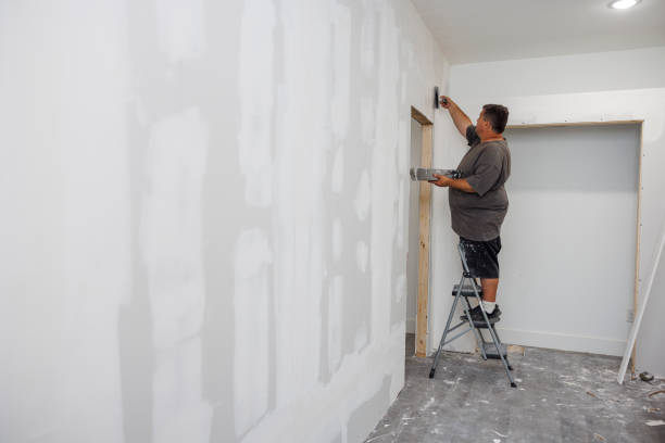 Best Commercial Mold Inspection  in Cottleville, MO
