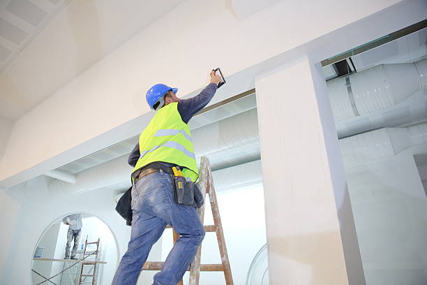 Mold Documentation for Insurance Claims in Cottleville, MO